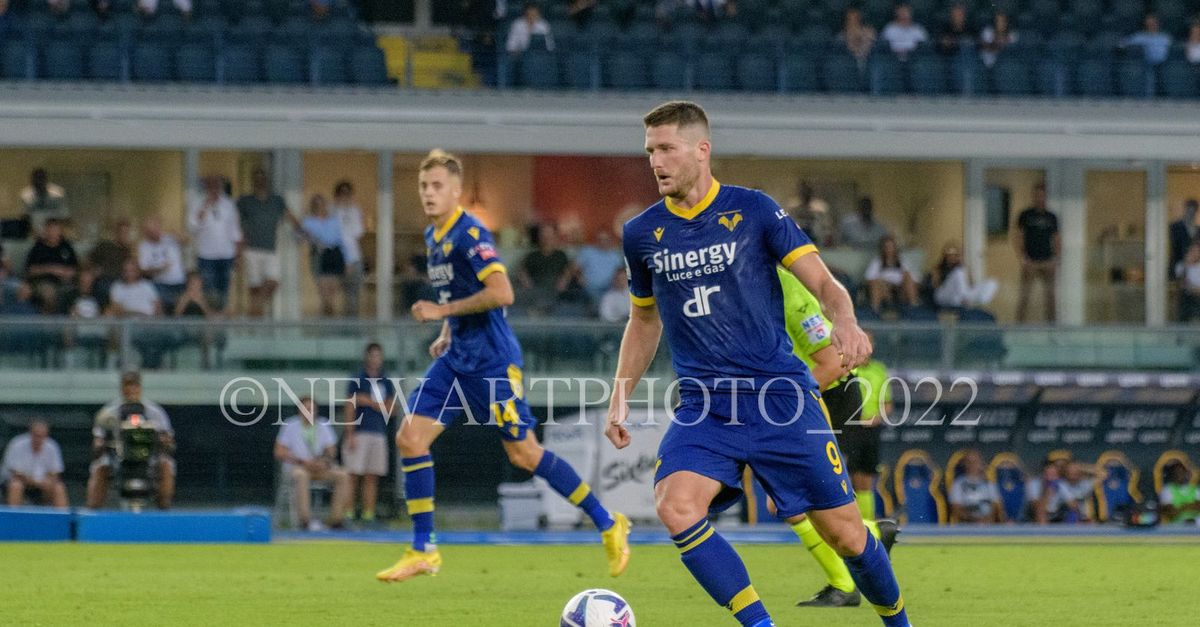 VeronaSampdoria, la probabile formazione dell’Hellas Hellas1903 VeronaSampdoria, la probabile formazione dell’Hellas Hellas1903