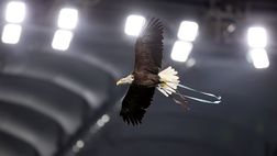 Lazio, quarantuno anni fa la vittoria sul Bari con gol di Surro