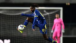 VN – Fiorentina-Tameze, i contatti vanno avanti