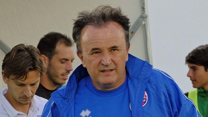 Gigi Fresco 