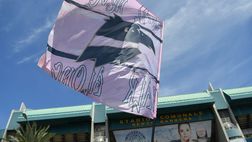 Palermo-Frosinone, le probabili formazioni e dove vederla