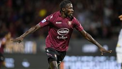 Fantacalcio Salernitana, stagione finita per Mamadou Coulibaly: i dettagli