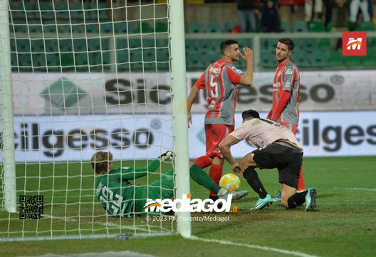 Palermo, Nedelcearu da presunto partente a certezza: ancora la Cremonese nel percorso- immagine 3
