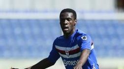 Ds Samp: “Obiang resta. Su Icardi c’era anche il Napoli, lui però…”