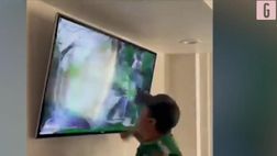 VIDEO / Pugni e coltellate al tv: tifoso messicano furioso
