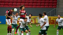Bolsonaro e la maglia del Palmeiras: regalo brasileiro al presidente dell’Argentina