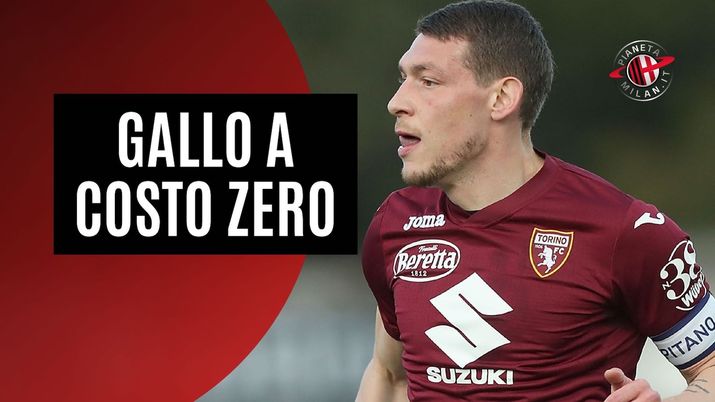 Andrea Belotti (attaccante Torino), obiettivo di calciomercato del Milan | AC Milan News (Getty Images) Andrea Belotti Torino Calciomercato AC Milan