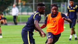 Vieira okay: è di nuovo in gruppo