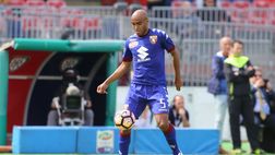 Carlao, Ajeti, Avelar e Alfred Gomis: il calciomercato del Toro può ripartire in attivo