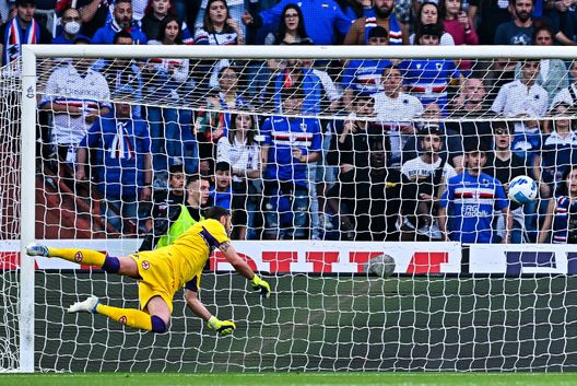 GENOA, ITALY - MAY 16: The ball flies past Pietro Terracciano of Fiorentina as Fabio Quagliarella of Sampdoria scores a goal during the Serie A match between UC Sampdoria and ACF Fiorentina at Stadio Luigi Ferraris on May 16, 2022 in Genoa, Italy. (Photo by Getty Images) Quale Europa: questa Fiorentina ha ancora voglia di sognare?- immagine 2
