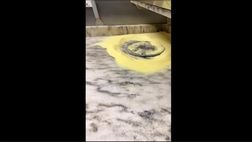 VIDEO/ Napoli, ora c’è anche la “pizza Osimhen”