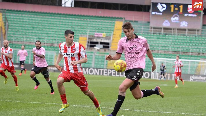 Palermo, il ballo delle debuttanti: la Vibonese è la quarta squadra che esordirà al “Barbera” 