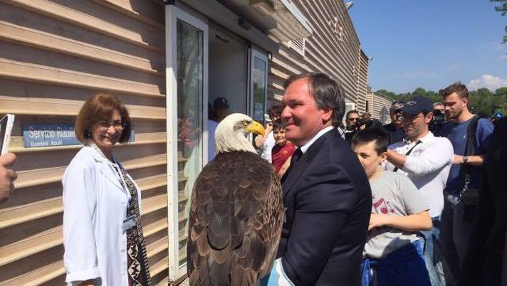 La Lazio licenzia il falconiere dopo il saluto romano La Lazio licenzia il falconiere dopo il saluto romano - immagine 1