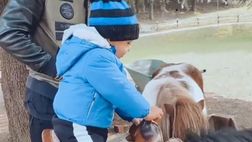 VIDEO/ D’Ambrosio positivo al Covid, il piccolo Leo si prende cura a distanza del papà