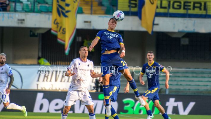 Verona-Udinese, Volpati: “Serve un grande Hellas per vincere”  Verona-Udinese, Volpati: “Serve un grande Hellas per vincere” - immagine 1