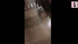 VIDEO / Morata si vendica di Alice: lo scherzo è tremendo