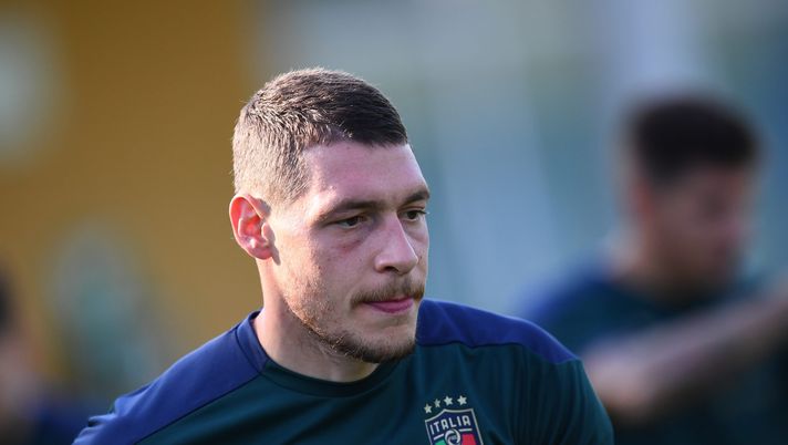 Belotti Belotti
