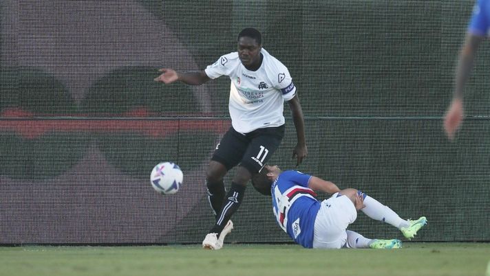 Fantacalcio Spezia, l’11 anti-Empoli: tante assenze per i bianconeri. Riecco Gyasi, Wisniewski titolare - immagine 1