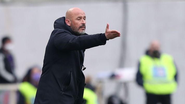 Viola, ha inizio il mese decisivo: Italiano a lavoro - immagine 1