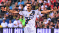 Ibra come Sampei? Zlatan è un fuoriclasse anche a pesca… – VIDEO