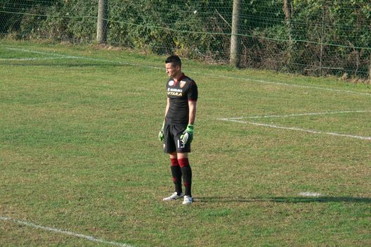 Castellazzi in Luese-Torino 