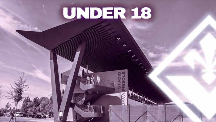 Stadio Curva Fiesole Viola Park