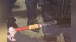 Padova-Mantova, allo stadio con un coltello: fermato un tifoso ospite