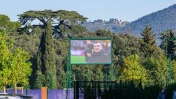 Una pianta o il nome sul muro: i dettagli della dedica di Commisso a Barone