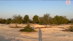 VIDEO Mondiali, nel deserto l’erba degli stadi di Qatar 2022: il segreto dei campi…