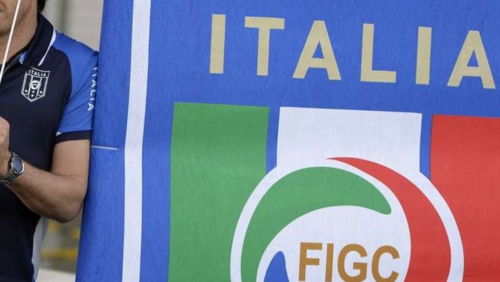 Presidente Della Figc, Ecco Come Si Vota - Cittaceleste.it