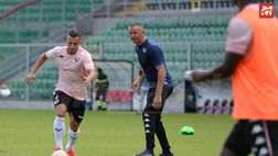 Palermo, Filippi ritrova Accardi: cinque uomini per tre maglie, difesa quasi al completo