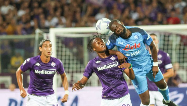 Fiorentina a piccoli passi e a porte blindate, ma la squadra va - immagine 1