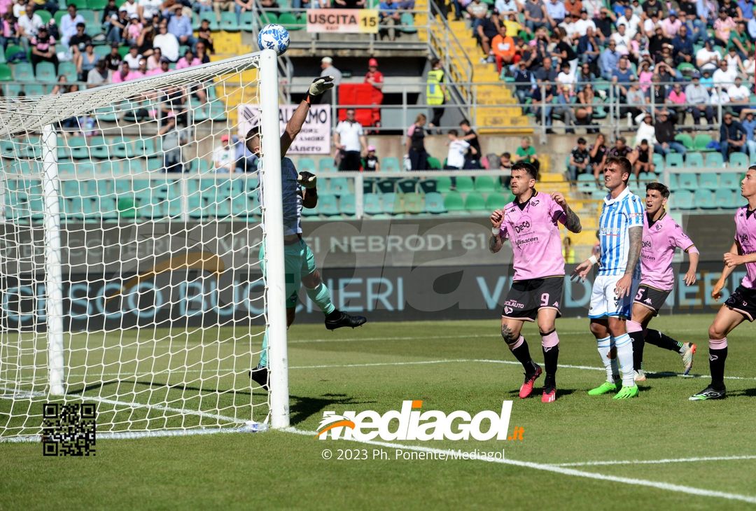 FOTO Palermo-Spal 2-1, 36ª giornata di Serie B 2022-2023 (GALLERY) - immagine 22