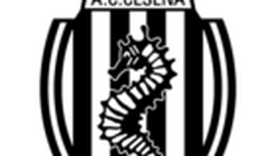 Serie A, l’Atalanta sbanca il Barbera 2-3. Cesena ufficialmente retrocesso in Serie B