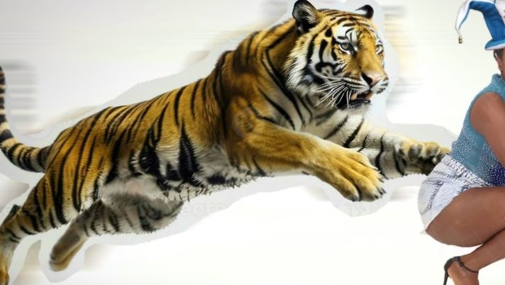 Bolivia, il derby di La Paz lo vince la Tigre: il ruggito dei più forti… - immagine 1