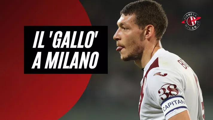 Andrea Belotti Torino Calciomercato AC Milan