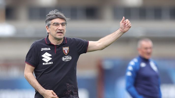 Verso Torino-Napoli, le ultimissime in casa granata: i dubbi di Juric - immagine 1