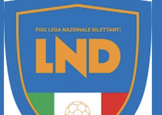 Serie D, nel Girone I il Cittanova non si è iscritto. 168 club hanno presentato domanda- immagine 2