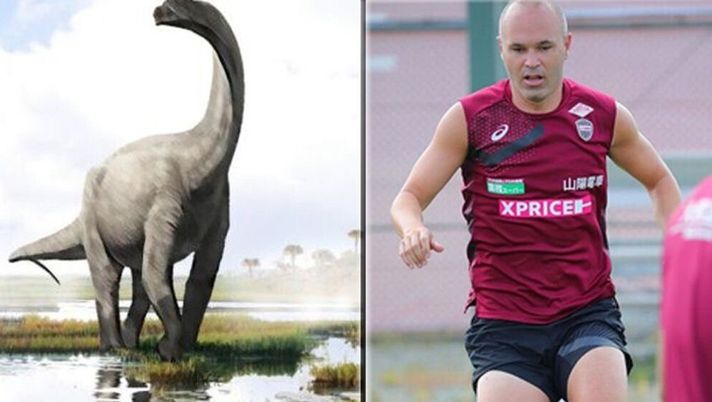 Scoprono un nuovo dinosauro a Burgos… e lo chiamano Iniesta! Scoprono un nuovo dinosauro a Burgos… e lo chiamano Iniesta!
