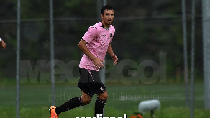 Sinisa Andelkovic  Sinisa Andelkovic