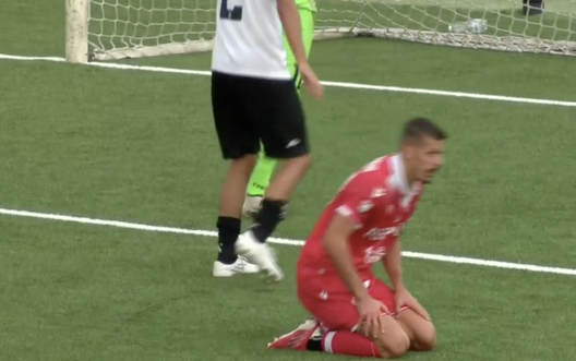 FINALE Pro Vercelli-Padova 1-0 (66′ Comi)- immagine 2