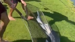 Alisson e la pesca miracolosa nel ritiro in Austria col Liverpool (VIDEO)