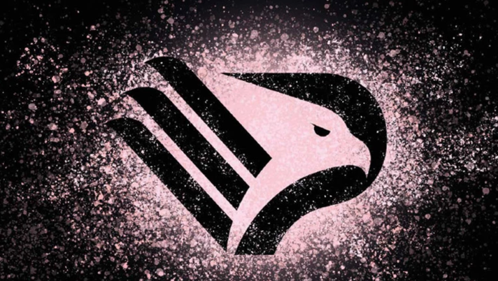 Palermo colpito dal covid. 17 calciatori e 3 membri dello staff positivi - immagine 1