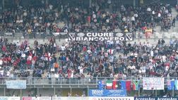 Rugby, Petrarca e Rovigo per l’Europa al Plebiscito