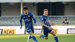 Samp-Verona, le formazioni ufficiali