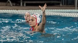 Antenore Plebiscito Padova, primo posto nel girone di Champions. Ora testa al campionato