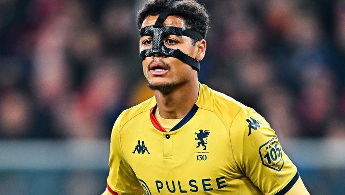 Genoa, De Winter: “Osimhen? La sua assenza non cambia nulla! Ecco cosa dobbiamo fare” - immagine 1