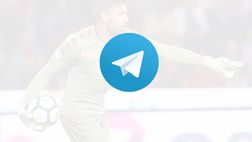 Toro News su Telegram: le migliori news direttamente sul tuo smartphone!