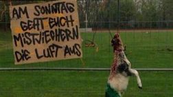 Hate derby, ultras Eintracht Braunschweig inviano carcasse di animali morti ai “96”