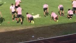 VIDEO Ritiro Palermo, occhio ad…Achille! ‘Allenamento’ anche per la mascotte